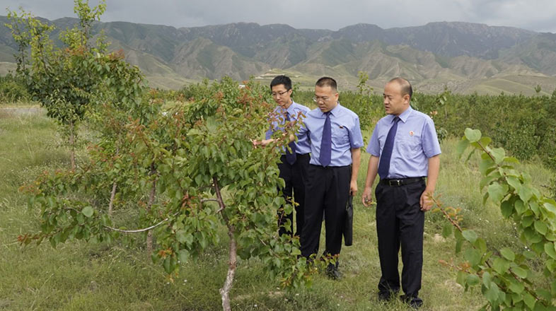 һ���c�Lɳ�^�������B(t��i)���l(w��i)��(zh��n)